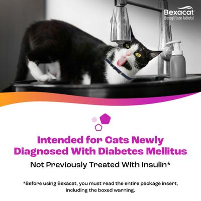 Show full view: Bexacat Flavored Tablets for Cats, 15mg, 30 count slide 4 of 9