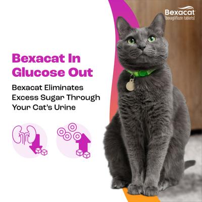 Show full view: Bexacat Flavored Tablets for Cats, 15mg, 30 count slide 5 of 9