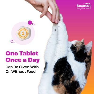 Show full view: Bexacat Flavored Tablets for Cats, 15mg, 30 count slide 6 of 9