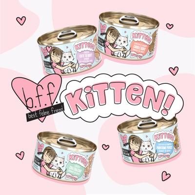 Show full view: BFF Kitten Cuddle Buds Wet Cat Food, 2.8-oz can, case of 12 slide 8 of 12