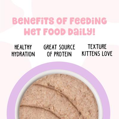 Show full view: BFF Kitten Cute to Boo Wet Cat Food, 2.8-oz can, case of 12 slide 6 of 13