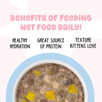 Show full view: BFF Kitten Pawsome Purrs Wet Cat Food, 2.8-oz can, case of 12 slide 6 of 13