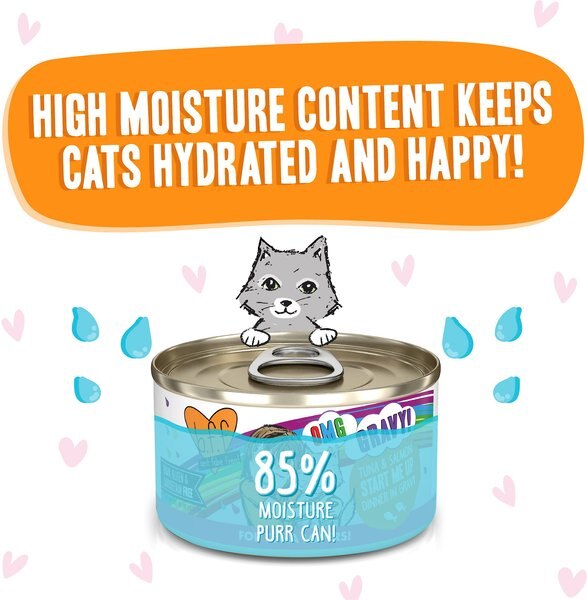 BFF OMG Start Me Up! Tuna & Salmon Flavor Minced Grain-Free Wet Cat Food