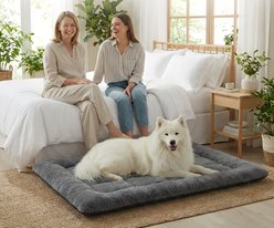 BFPETHOME Comfy Fluffy Mattress Dog Bed, Gray, 48 x 30 x 2-in