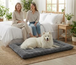 BFPETHOME Washable Fluffy Dog Bed, Gray, 36 x 27 x 2-in