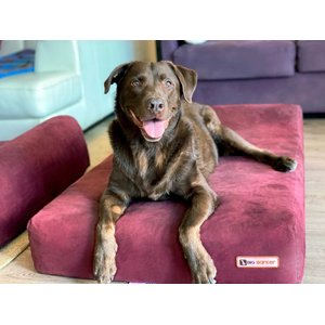 Big Barker 7" Headrest Orthopedic Pillow Dog Bed with Removable Cover, Burgundy, Large