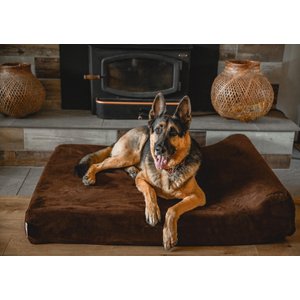 Big Barker 7" Headrest Orthopedic Pillow Dog Bed with Removable Cover, Chocolate, Extra Large