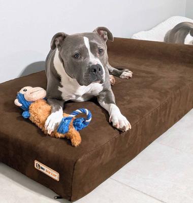 Show full view: Big Barker 7" Headrest Orthopedic Pillow Dog Bed with Removable Cover, Chocolate, Large slide 4 of 13