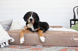 Big Barker 7" Headrest Orthopedic Pillow Dog Bed with Removable Cover, Khaki, Giant slide 2 of 9
