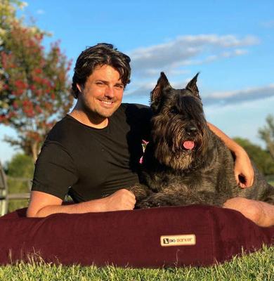 Show full view: Big Barker 7" Sleek Orthopedic Pillow Dog Bed with Removable Cover, Burgundy, Large slide 5 of 12