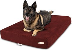 Big Barker 7" Sleek Orthopedic Pillow Dog Bed with Removable Cover, Burgundy, X-Large