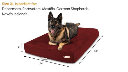 Show full view: Big Barker 7" Sleek Orthopedic Pillow Dog Bed with Removable Cover, Burgundy, X-Large slide 2 of 11
