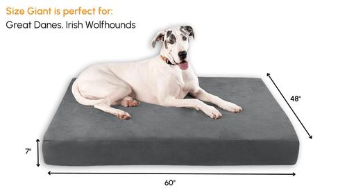 Show full view: Big Barker 7" Sleek Orthopedic Pillow Dog Bed with Removable Cover, Charcoal Gray, Giant slide 2 of 11