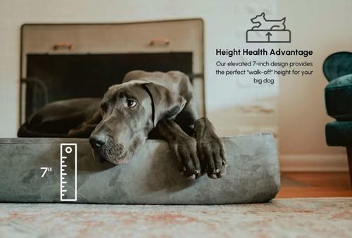Show full view: Big Barker 7" Sleek Orthopedic Pillow Dog Bed with Removable Cover, Charcoal Gray, Large slide 7 of 12