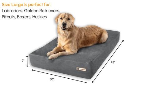 Show full view: Big Barker 7" Sleek Orthopedic Pillow Dog Bed with Removable Cover, Charcoal Gray, Large slide 3 of 12