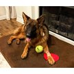 Show in main carousel: Big Barker 7" Sleek Orthopedic Pillow Dog Bed with Removable Cover, Chocolate, Large slide 4 of 11