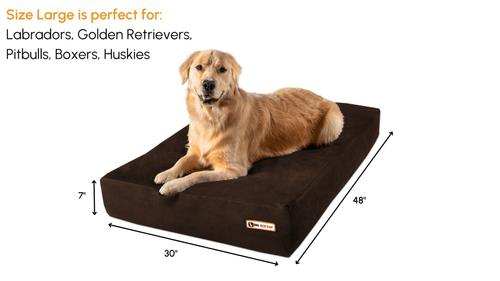 Show full view: Big Barker 7" Sleek Orthopedic Pillow Dog Bed with Removable Cover, Chocolate, Large slide 2 of 11