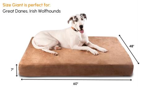 Show full view: Big Barker 7" Sleek Orthopedic Pillow Dog Bed with Removable Cover, Khaki, Giant slide 2 of 11