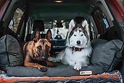 Big Barker Backseat Barker Orthopedic Pillow Dog Bed, Gray, X-Large