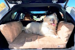 Big Barker Backseat Barker Orthopedic Pillow Dog Bed, Khaki, Large