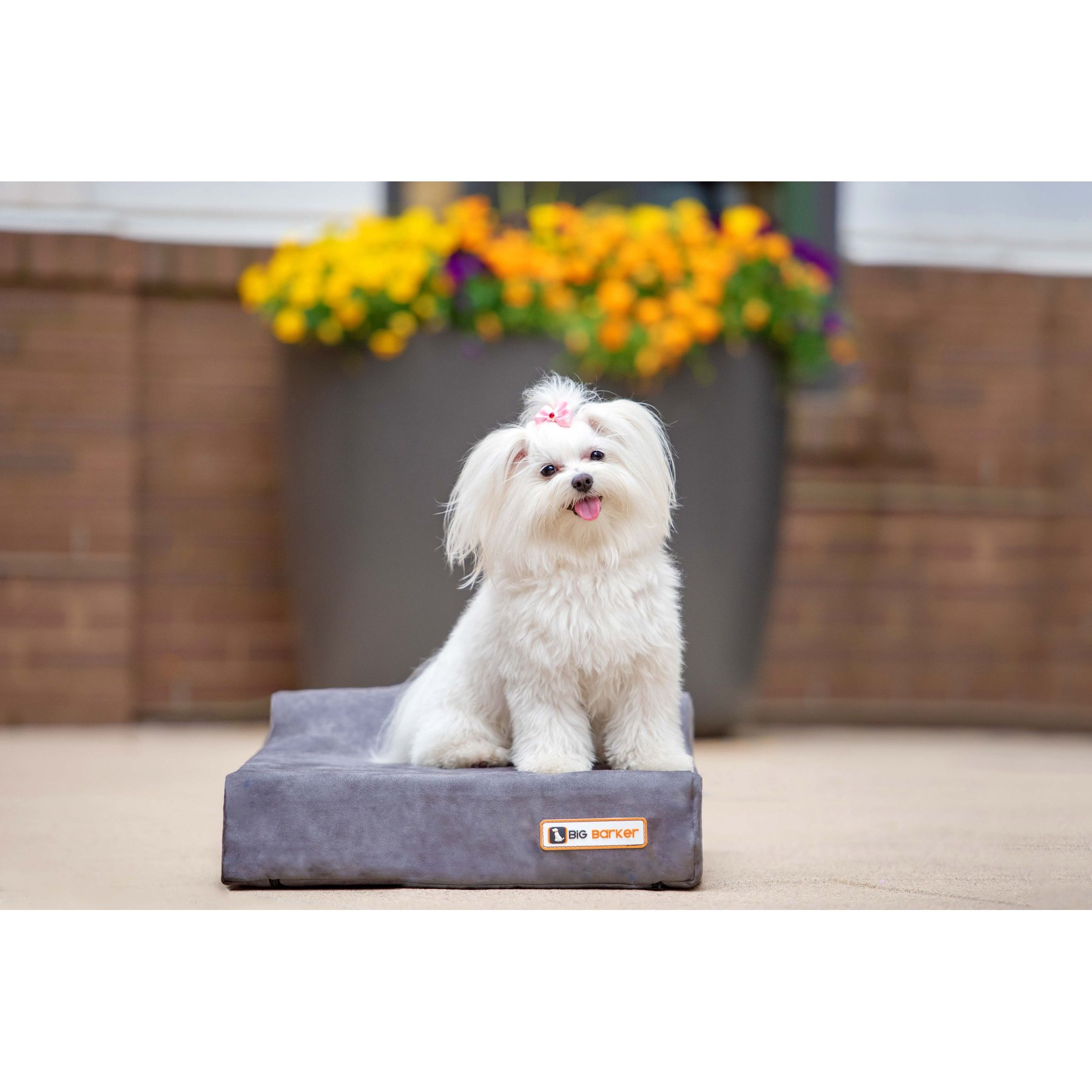 Big Barker Jr. Pillow Top with Headrest Orthopedic Dog Bed, Charcoal Gray, Small