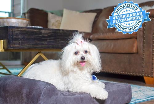 Show full view: Big Barker Jr. Pillow Top with Headrest Orthopedic Dog Bed, Chocolate, Small slide 4 of 9