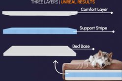 Big Barker Sofa Edition Orthopedic Bolster Dog Bed with Removable Cover, Charcoal Gray, Large slide 2 of 7
