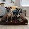 Show in main carousel: Big Barker Sofa Edition Orthopedic Bolster Dog Bed with Removable Cover, Chocolate, Large slide 3 of 8