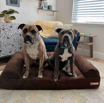 Show full view: Big Barker Sofa Edition Orthopedic Bolster Dog Bed with Removable Cover, Chocolate, Large slide 3 of 8