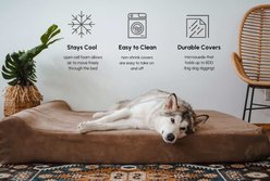 Big Barker Sofa Edition Orthopedic Bolster Dog Bed with Removable Cover, Khaki, Large slide 2 of 7
