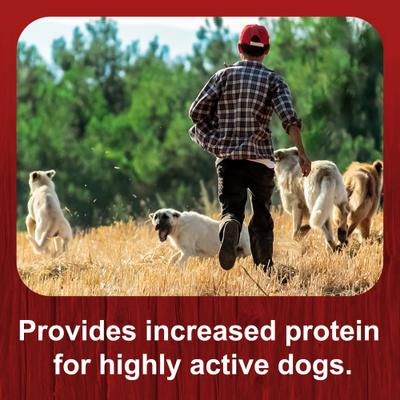 Show full view: Big Red High Protein Dog Food, 50-lb bag slide 8 of 11