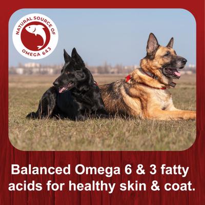 Show full view: Big Red Nuggets Dry Dog Food, 50-lb bag slide 5 of 11