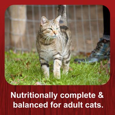 Show full view: Big Red Tasty Morsels Natural Chicken Flavor Dry Cat Food, 20-lb bag slide 8 of 11