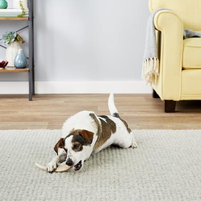 Show full view: Big Sky Antler Chews Natural Elk Antler Dog Chews, Large slide 4 of 8