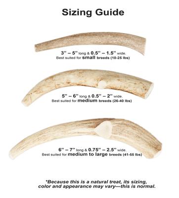 Show full view: Big Sky Antler Chews Natural Elk Antler Dog Chews, Large slide 6 of 8