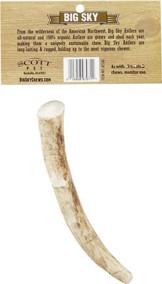 Show full view: Big Sky Antler Chews Natural Elk Antler Dog Chews, Medium slide 3 of 8