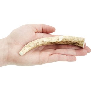 Big Sky Antler Chews Natural Elk Antler Dog Chews, Medium
