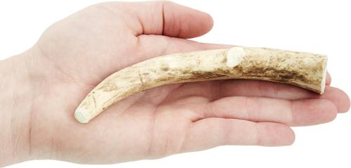 Show full view: Big Sky Antler Chews Natural Elk Antler Dog Chews, Medium slide 5 of 8