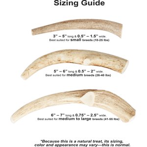 Big Sky Antler Chews Natural Elk Antler Dog Chews, Medium