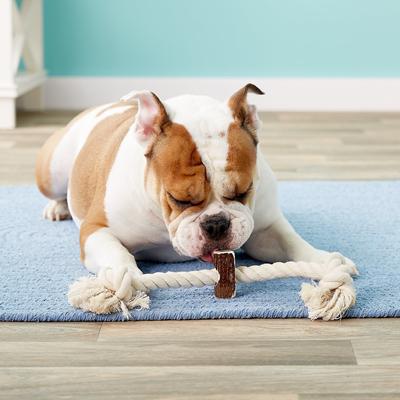 Show full view: Big Sky Antler Chews Natural Elk Antler Rope Dog Chew Toy, Large slide 2 of 6