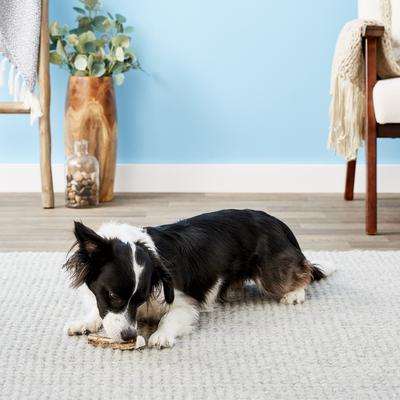 Show full view: Big Sky Antler Chews Natural Elk Antler Splits Dog Chews, Large slide 4 of 8