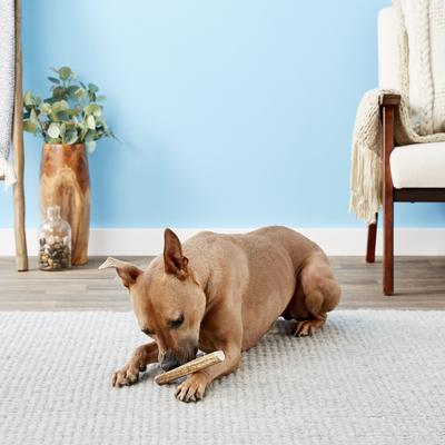 Show full view: Big Sky Antler Chews Natural Elk Antler Splits Dog Chews, Small slide 5 of 9