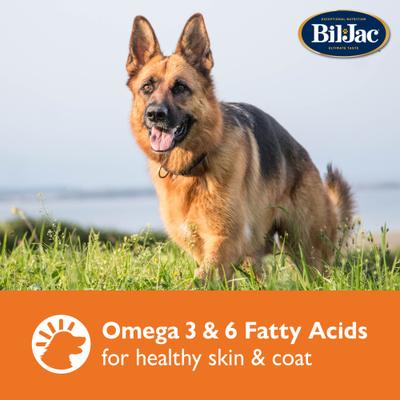 Show full view: Bil-Jac Large Biscuit Crunchy Dog Treats, 4-lb bag slide 6 of 8