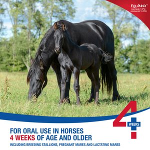 Bimeda Equimax Ivermectin & Praziquantel Paste Horse Dewormer, 6.42-gm
