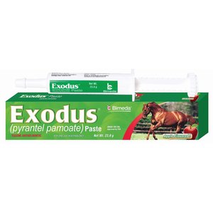 Durvet Ivermectin Paste 1.87% Apple Flavor Horse Dewormer