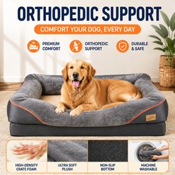 BingoPaw Lounger Sofa Orthopedic Dog Bed, Grey, Large slide 2 of 9