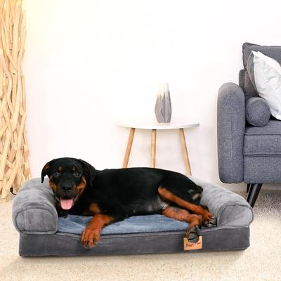 Show full view: BingoPaw Orthopedic Sofa Dog & Cat Bed with Removable Cover, Grey, Large slide 4 of 11