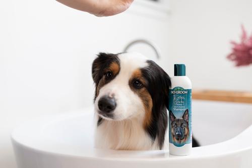 Show full view: Bio-Groom Extra Body Dog Shampoo, 12-fl oz bottle slide 6 of 9