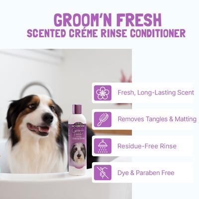 Show full view: Bio-Groom Groom 'N Fresh Creme Rinse Dog Conditioner, 12-fl oz bottle slide 3 of 5
