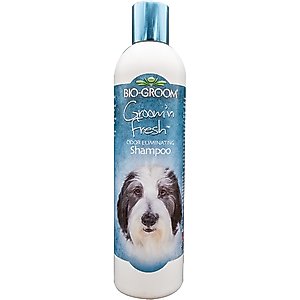 Bio-Groom Groom 'N Fresh Odor Eliminating Dog Shampoo, 12-fl oz bottle